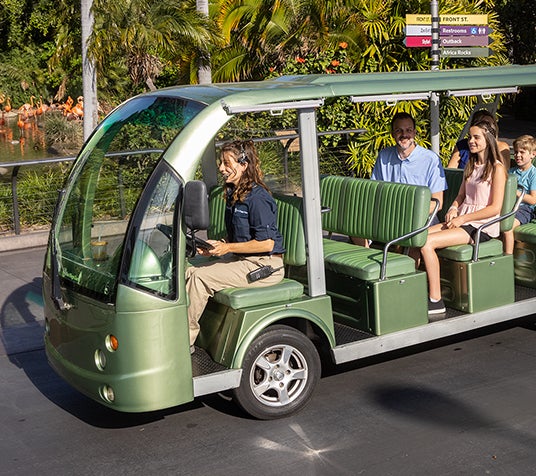 guests in a disocvery cart