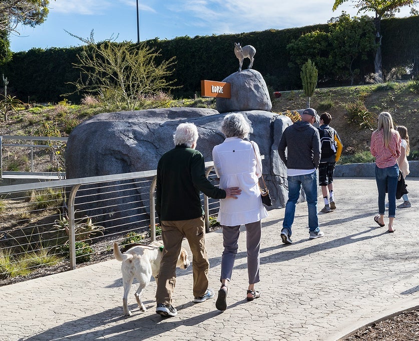 Guests walking through Africa Rocks