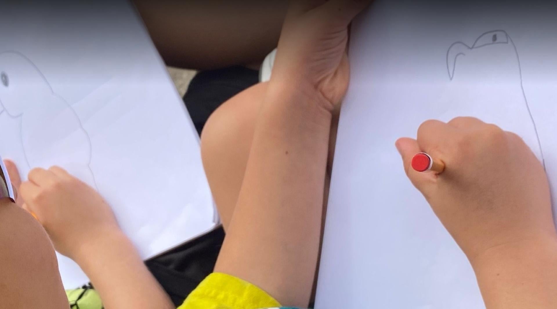 Students drawing a bird