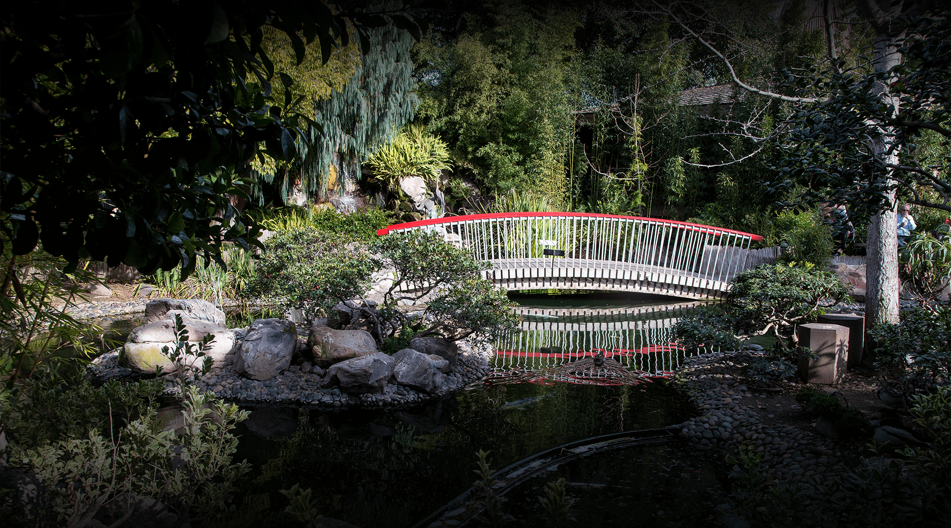 Terrace lagoon and gardens at the San Diego Zoo. 