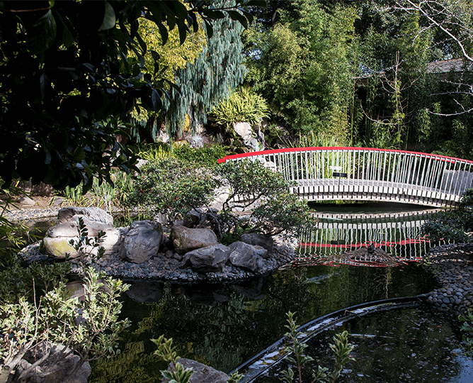Terrace lagoon and gardens at the San Diego Zoo. 